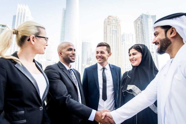 What is the Income in the UAE?